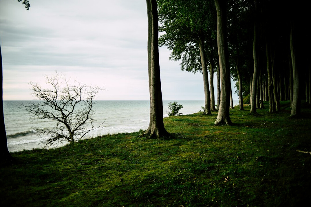 Rocky cliffs and coastline of Bornholm island